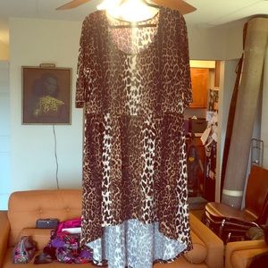 City Chic Leopard Animal Print high/Low dress